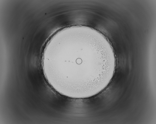 X0000083010828200703021938