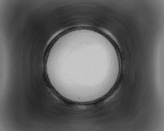 X0000083010829200703021938