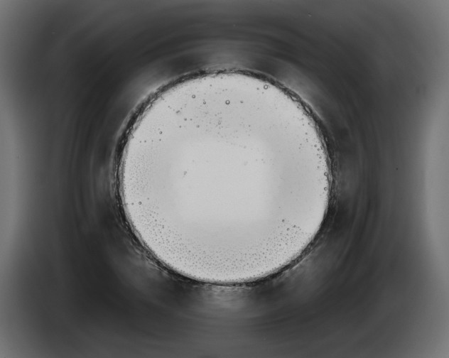 X0000083010832200703021938