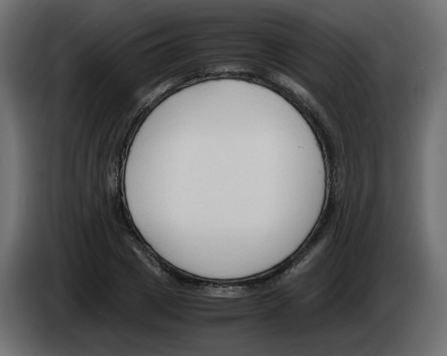 X0000083010833200703021938