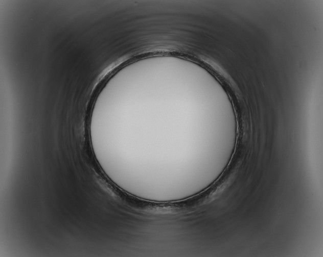 X0000083010834200703021938