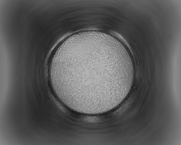 X0000083010835200703021938