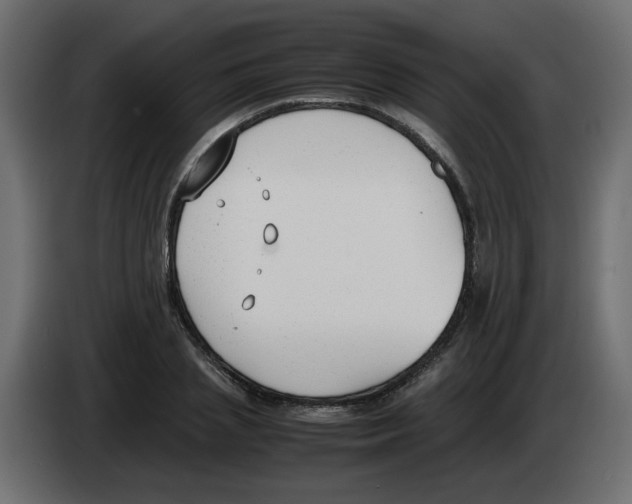 X0000083010837200703021939