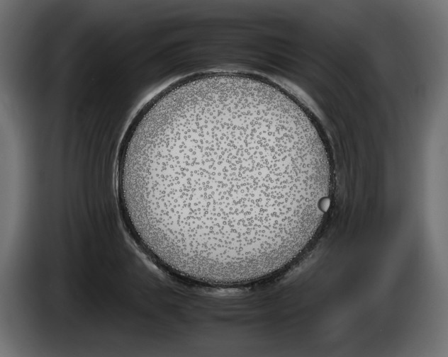 X0000083010839200703021939