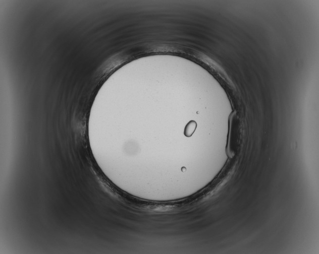 X0000083010841200703021939