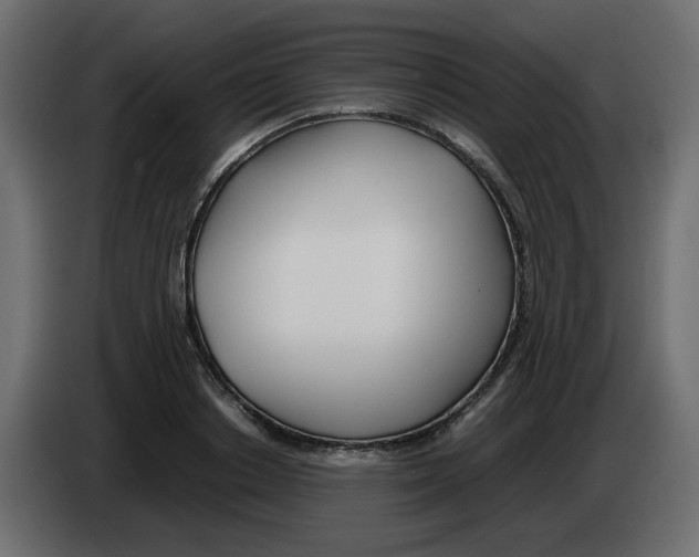 X0000083010842200703021939