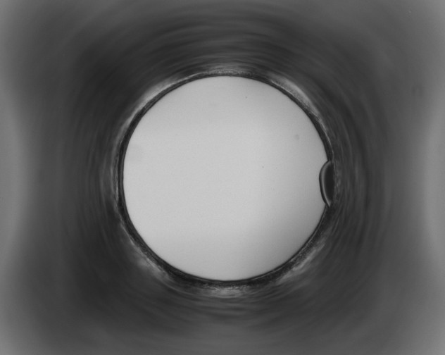 X0000083010843200703021939