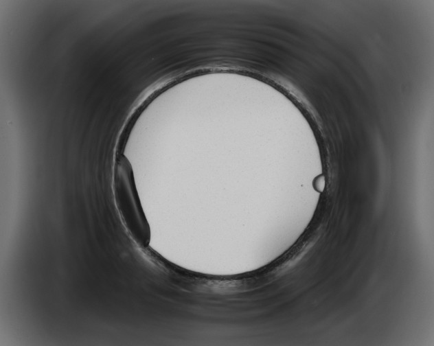 X0000083010845200703021939