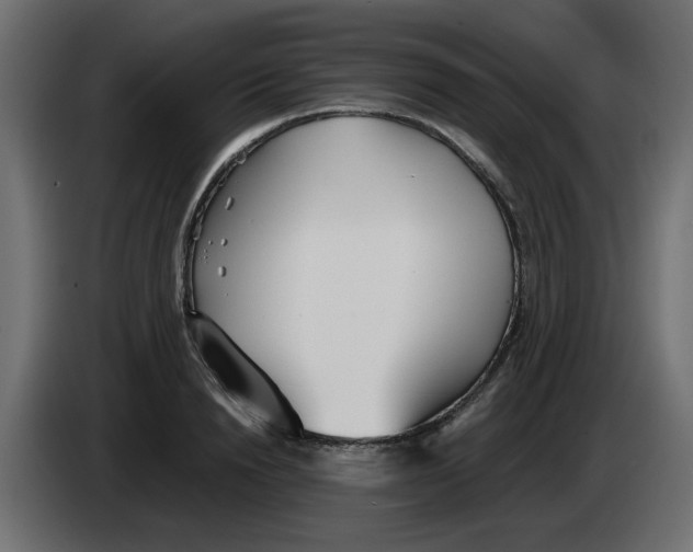 X0000083010846200703021939