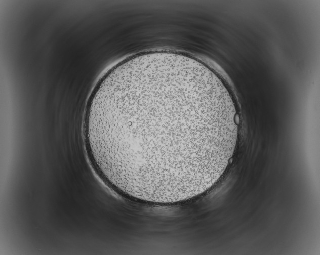 X0000083010847200703021939