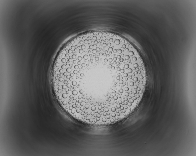 X0000083010848200703021939