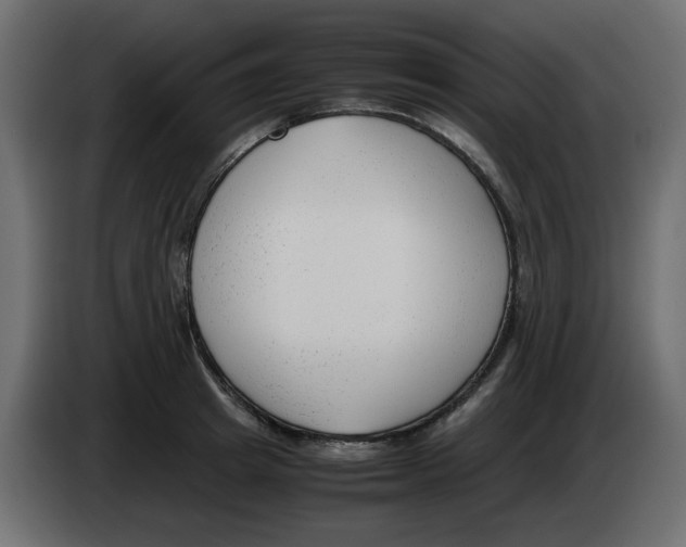 X0000083010849200703021939