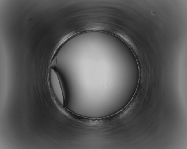 X0000083010850200703021939