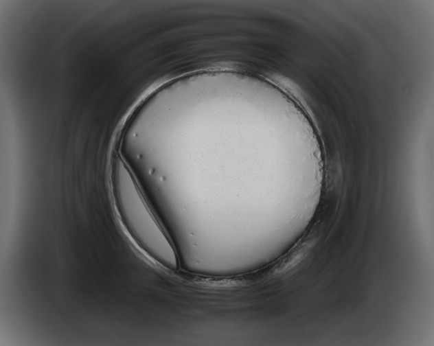 X0000083010851200703021939