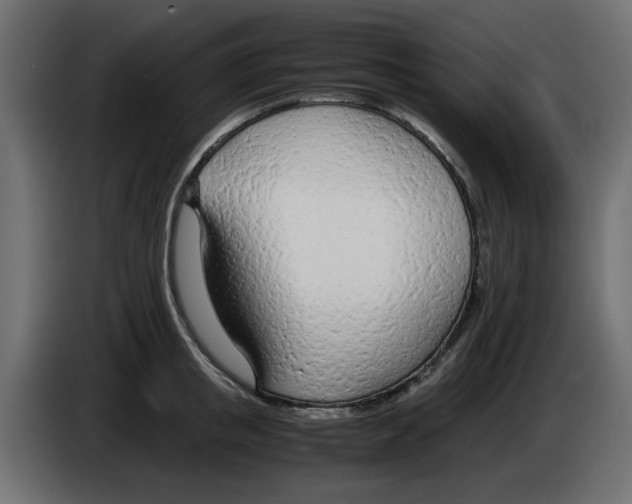 X0000083010853200703021939