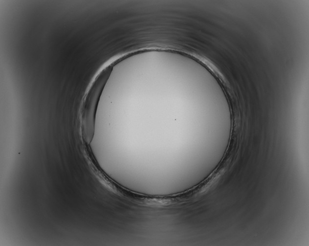 X0000083010854200703021939