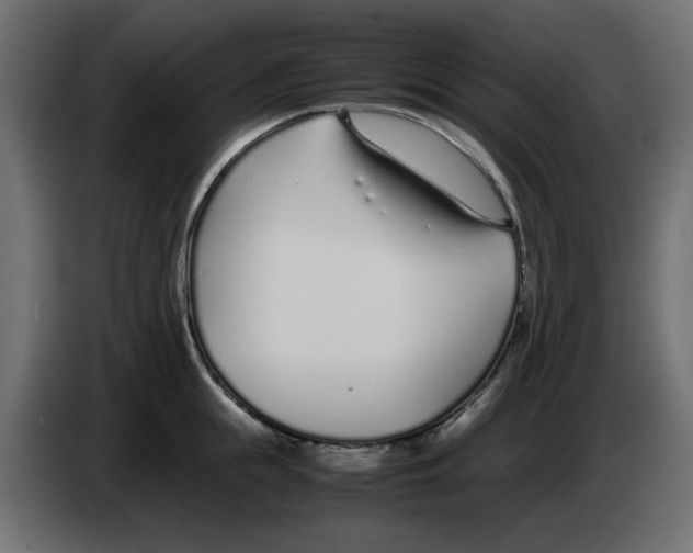 X0000083010855200703021939