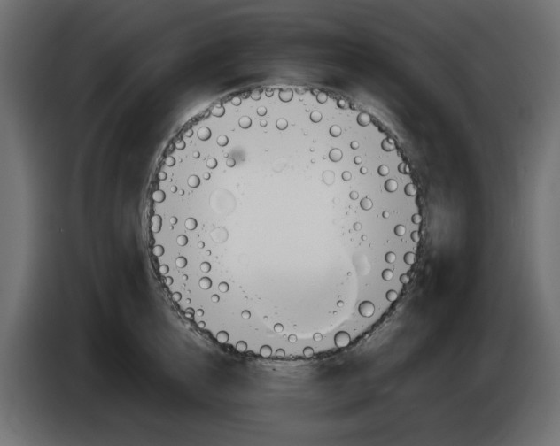 X0000083010856200703021939