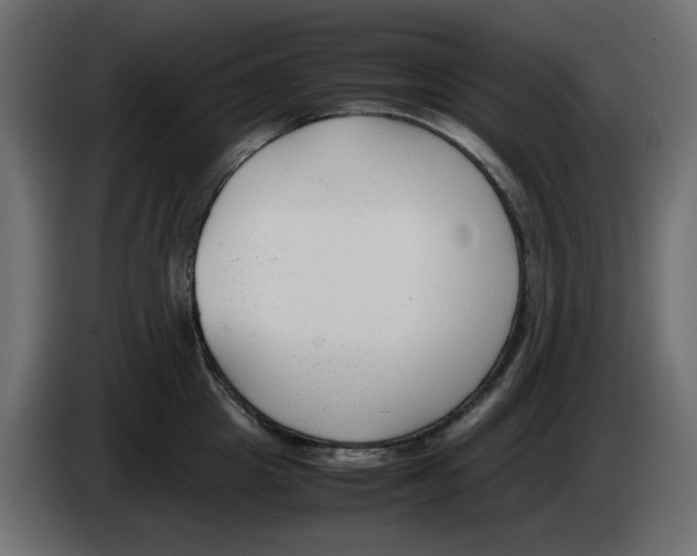 X0000083010857200703021939