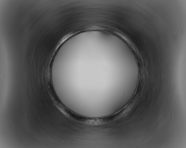 X0000083010858200703021939