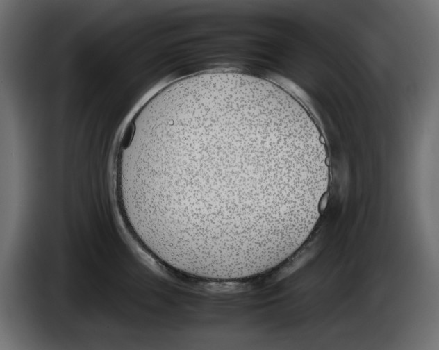 X0000083010859200703021939