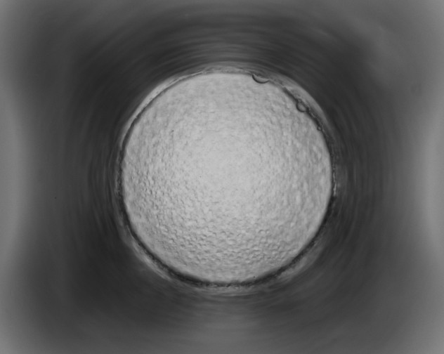 X0000083010860200703021939