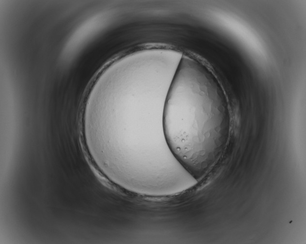 X0000083010861200703021939