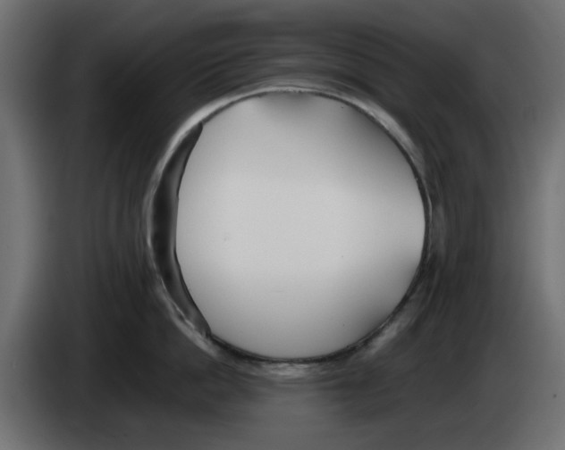 X0000083010862200703021939