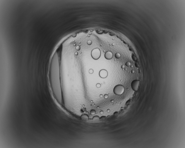 X0000083010863200703021939