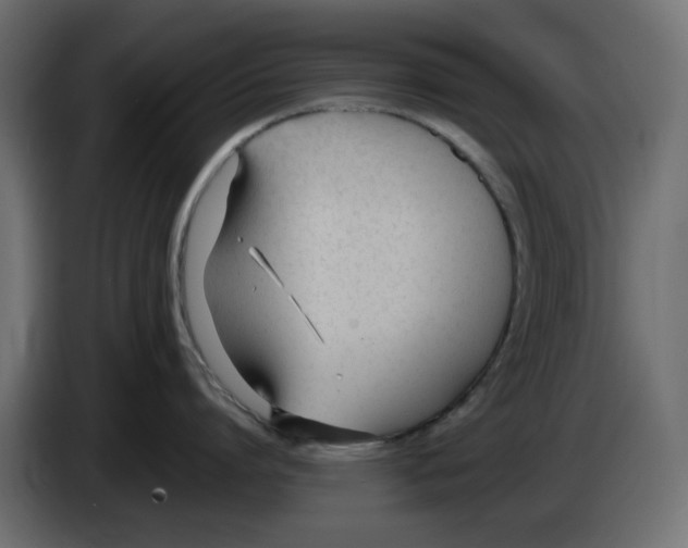 X0000083010864200703021939