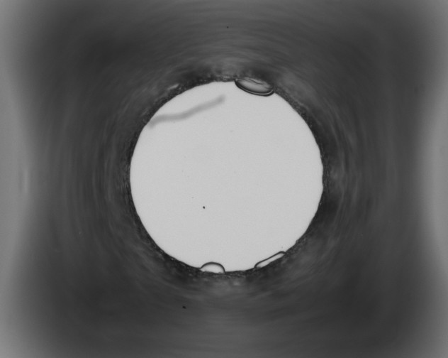 X0000083010865200703021938