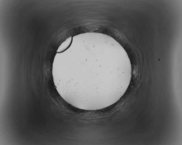 X0000083010867200703021938