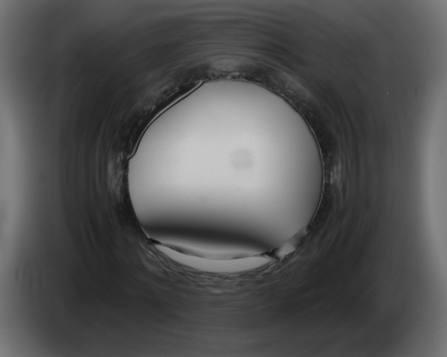 X0000083010868200703021938