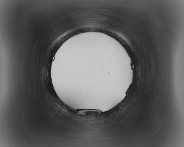 X0000083010872200703021938