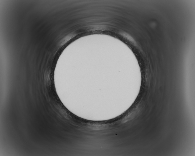 X0000083010873200703021938