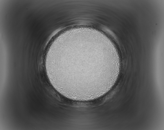 X0000083010875200703021938