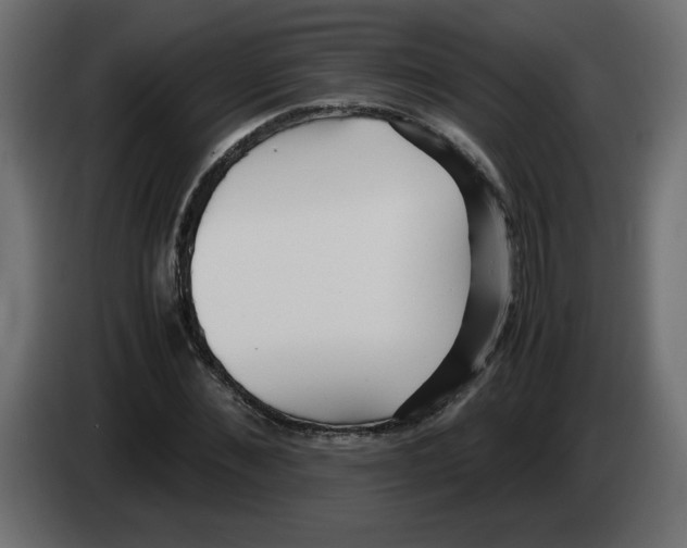 X0000083010876200703021938