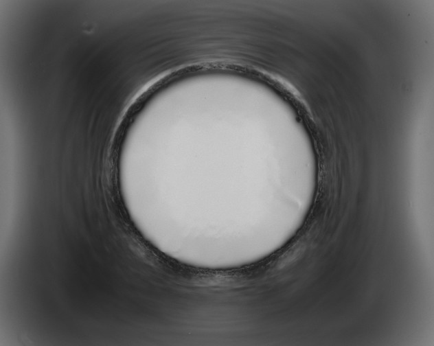 X0000083010879200703021938