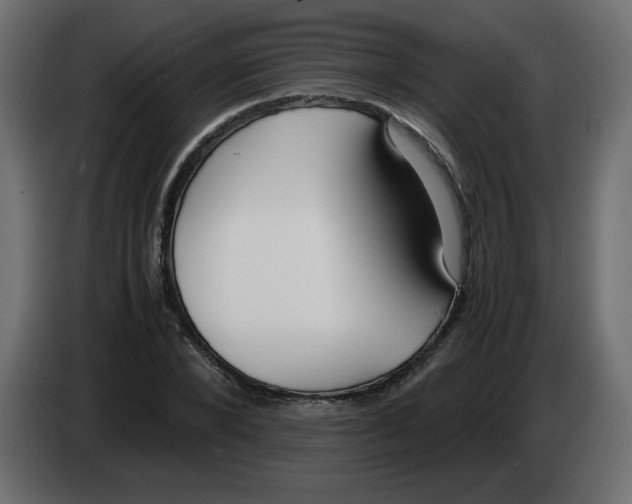 X0000083010880200703021938