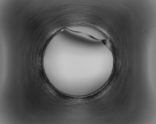 X0000083010881200703021938