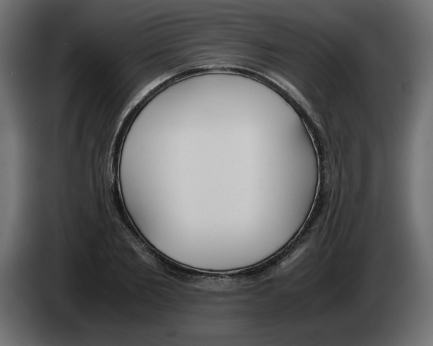 X0000083010885200703021938