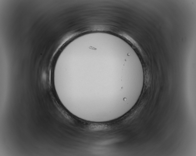 X0000083010886200703021938