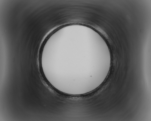 X0000083010888200703021938