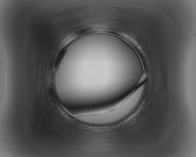 X0000083010889200703021938