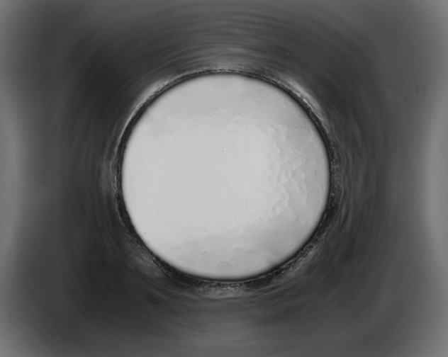 X0000083010891200703021938