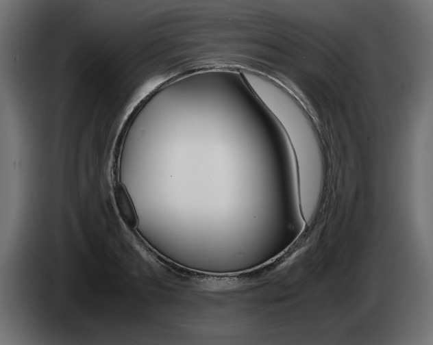 X0000083010893200703021938