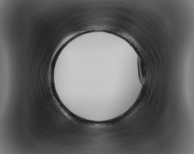 X0000083010894200703021938