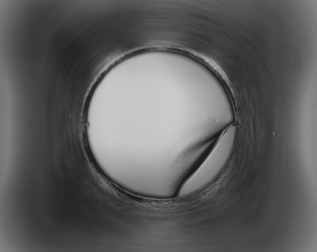 X0000083010895200703021938