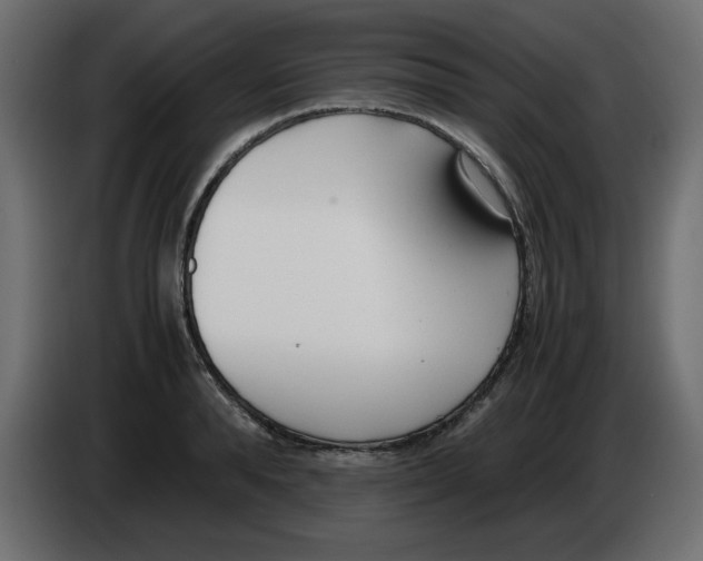 X0000083010896200703021938