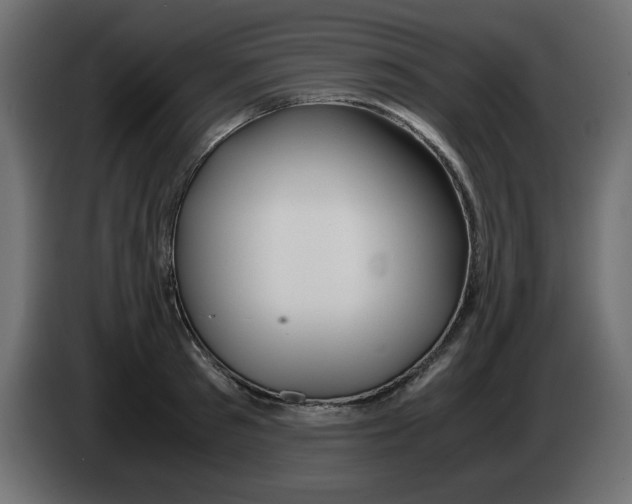 X0000083010897200703021938